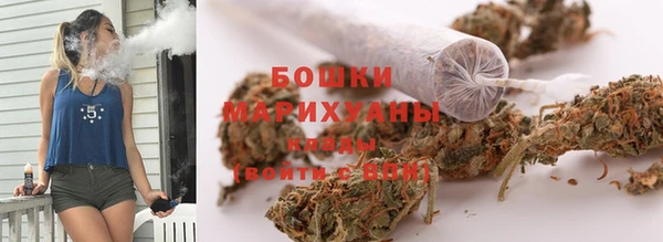 apvp Инта