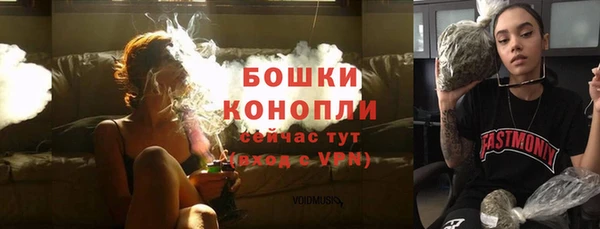 apvp Инта