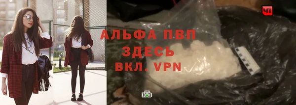 apvp Инта