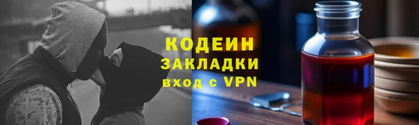 apvp Инта