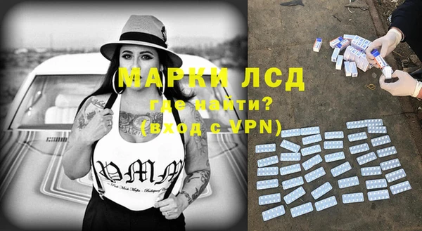 apvp Инта