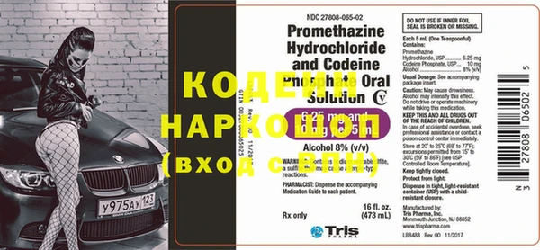 apvp Инта