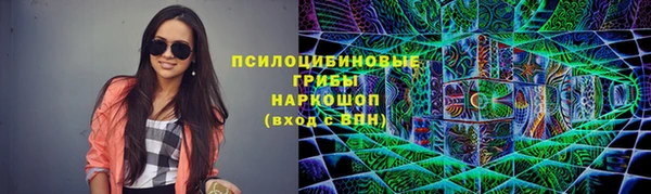 прущая мука Инсар